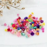 Dried Flowers Head Dry Daisy Plants Epoxy Resin Pendant Necklace Jewelry Making