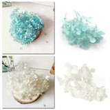 Natural Dried Hydrangea Flower DIY Wedding Bride Bo Otta