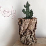Large Eco Friendly And 100% Natural Cork Bark Planter, Large Rustic Planter, Natural Planter, Cork Planter, Garden Pot, Eco Friendly Planter