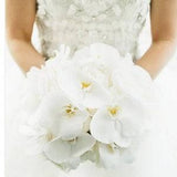 Phalaenopsis orchids bridal bouquet, white orchids bride bouquet, cascade bridal bouquet, groom buttonhole, wrist corsage