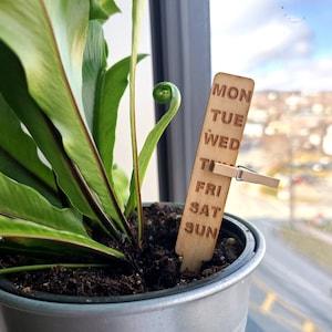 Plant Paddle?