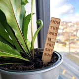 Plant Paddle?