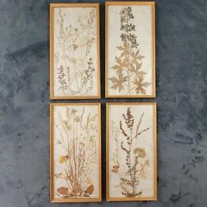 Framed Dried Leaf and Flower Arrangement 8 x 15 in Lot of 4 Cottage Core Hippie