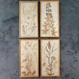 Framed Dried Leaf and Flower Arrangement 8 x 15 in Lot of 4 Cottage Core Hippie
