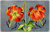 Postcard 1959 Peterson National Wildlife Foundation Turk's Cap Lily Flower