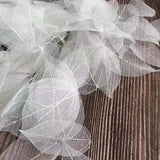 Dried Pressed Leaf Vein Petals Natural Real Leaves DIY Wedding Craft Decor 100Pc