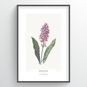Orchid Botanical Art Print - home decor, poster art, poster print, nursery decor, office decor, modern wall art