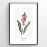 Orchid Botanical Art Print - home decor, poster art, poster print, nursery decor, office decor, modern wall art