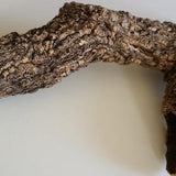 Cork Bark, Cork Bark, Untreated, Terrariums, Orchids, Air Plants, Decor, Natural