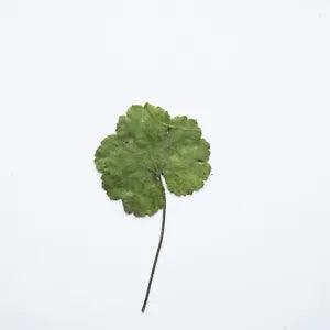 12PCS Real Pressed Dry leaf with stem, floral supply for art, candle FSS39