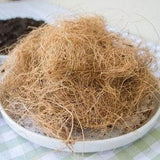 Coconut Husk Fiber Natural Growing For Anthurium Orchids Organic plant care