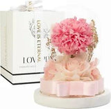Flowers Prime Preserved Rose Carnation in Glass Dome Romantic For Birth Day