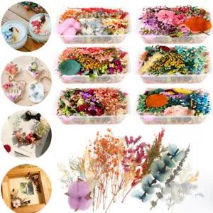 Real Mixed Dried Pressed Flowers Epoxy Resin Jewelry Making Art Craft DIY Tools