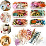 Real Mixed Dried Pressed Flowers Epoxy Resin Jewelry Making Art Craft DIY Tools