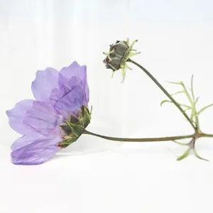 12PCS Real Pressed Dry purple flower with stem, floral supply for art FSS41