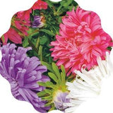 Summer Aster Flower Seeds 100x | 100% Organic - Queen of Halls mixed