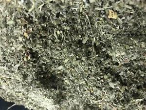 WHOLESALE marshmallow herb leaf Organic QUALITY ships fast 25 lb Pound