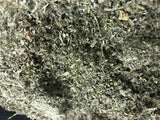 marshmallow WHOLESALE medicinal herb leaf Organic high QUALITY 20 lb Pound