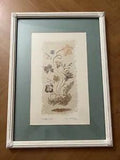 Vintage Framed Dried Flowers Native from Madagascar Signed by Artist
