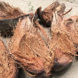 Full Coconut Husk 100% Natural Pure Unprocessed Flower Planting Mix Anthurium & Orchid Potting