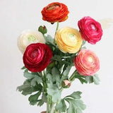20.5?¡ã(Overall Length) 2 Heads Persian Buttercup Artificial Faux Flower Home Decor Flower in 5 Colors , for Bouquet??Wedding