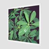 Botanical Plant Art | Square Fine Art Print