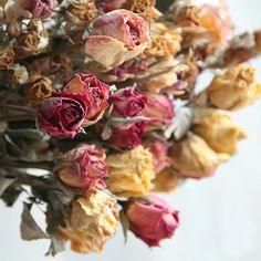 Roses fleurs s??ch??es Flower Delivery
