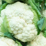 Cauliflower - Early X Snowball 1g - 100 NON GMO Seeds - Brassica Oleracea
