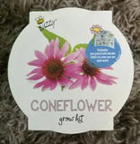 Coneflower Grow Kit - by Buzzy Inc.