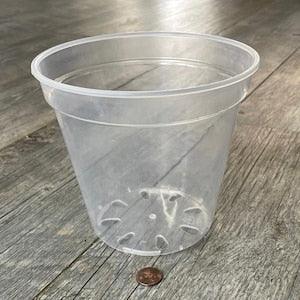 6??? round ultra clear orchid pot, Clear plastic pot, Plastic flower pot for orchids, Clear pot for medium tropicals, Aroid nursery pot