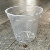 6??? round ultra clear orchid pot, Clear plastic pot, Plastic flower pot for orchids, Clear pot for medium tropicals, Aroid nursery pot