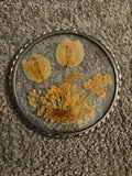 Vintage, Lasting Impressions Glass Framed Dried Flowers  Wall Decor, USA Made