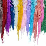Preserved Dried Flower Natural Chenopodium Formosanum Home Photography Props New