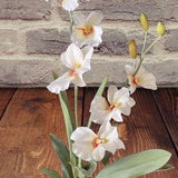 ARTIFICIAL miltoniopsis orchid plant