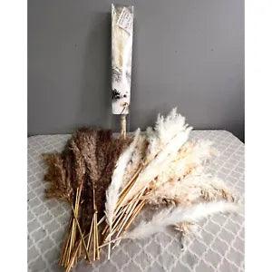 Pampas Grass Lot 80 Pieces Neutral Beige White Brown Vase Filler Dried Floral