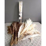 Pampas Grass Lot 80 Pieces Neutral Beige White Brown Vase Filler Dried Floral