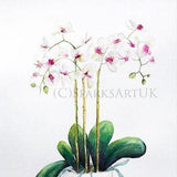 White orchids Phalaenopsis - Giclee print of original watercolour painting