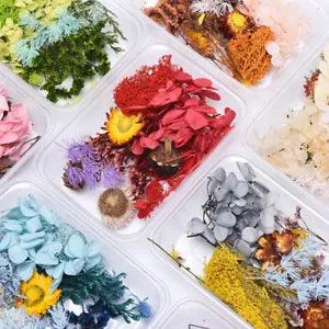 1X Real Dried Flower Dry Plants Candle Resin DIY Pendant Necklace Jewelry Cr`s u