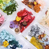 1X Real Dried Flower Dry Plants Candle Resin DIY Pendant Necklace Jewelry Cr`s u
