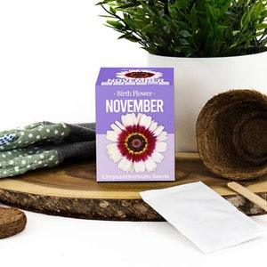 Grow Your Own Birth Flower Kit