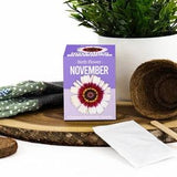 Grow Your Own Birth Flower Kit