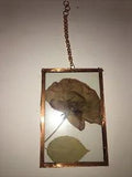 Dried Pressed flowers glass Oval Wall Hanging Sun catcher 6x4???