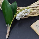 Clay Lily of the valley, Porcelain flowers for interior, Cold porcelain flower, Real touch flowers,Artificial Forest flowers Spring bouquet