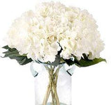 Best Paint Colors to Use in a Transitional Home Flower Delivery