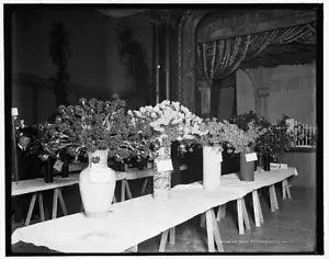Exhibits,American Carnation Society Exhibition,flower shows,Detroit,MI,1900