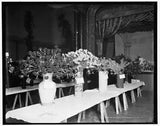 Exhibits,American Carnation Society Exhibition,flower shows,Detroit,MI,1900