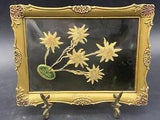 Vintage Edelweiss Flowers Framed Genuine Germany Dried Edelweiss F???ssen Germany