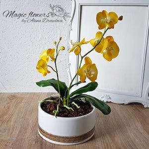 Yellow phalaenopsis orchid - artificial flower out of cold porcelain