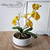 Yellow phalaenopsis orchid - artificial flower out of cold porcelain
