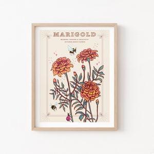 Marigold Wall Art Print, October Birth Flower Illustration Print